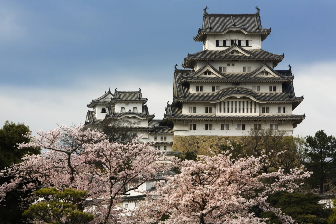 Tour Image